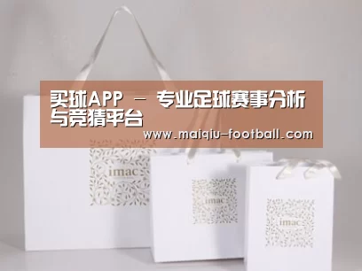 项目名称十一