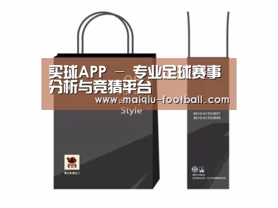 项目名称十四