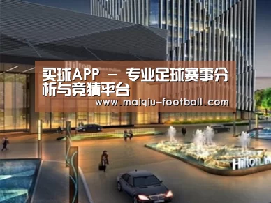 案例展示二