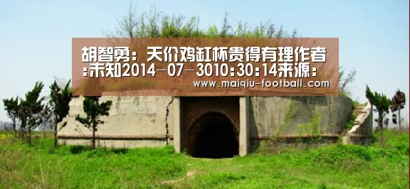 胡智勇:天价鸡缸杯贵得有理作者:未知2014-07-3010:30:14来源:中国文物网.panel-overlay{o‘在线投注’(图1) 赛事分析